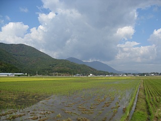 photo-20101106-1