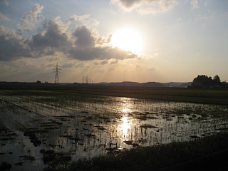 photo-20101106-11