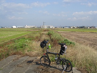 photo-20101106-5