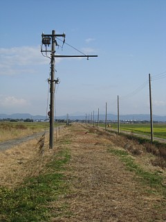 photo-20101106-7