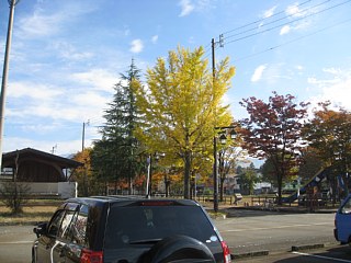 photo-20101107-1