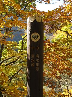 photo-20101107-11