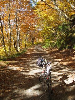 photo-20101107-12