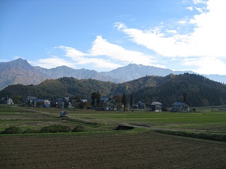 photo-20101107-4