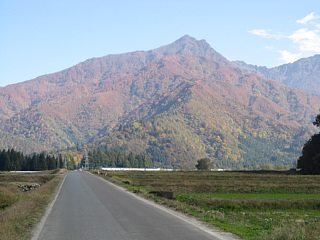 photo-20101107-5