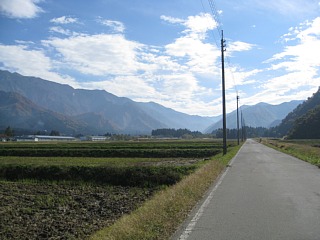 photo-20101107-6