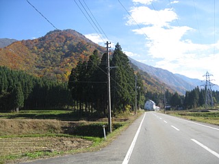 photo-20101107-7