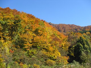 photo-20101107-8