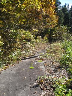 photo-20101107-9