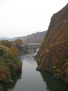 photo-20101114-4