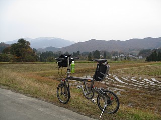 photo-20101114-6