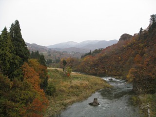 photo-20101114-9