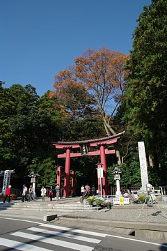 photo-20101120-1