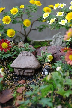 photo-20101120-9