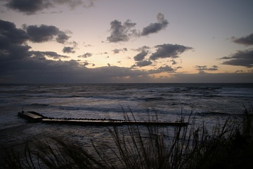 photo20101204-5