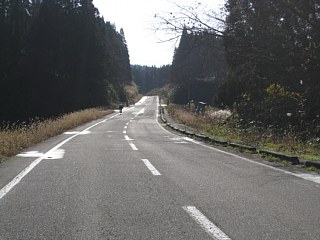 photo20101205-4