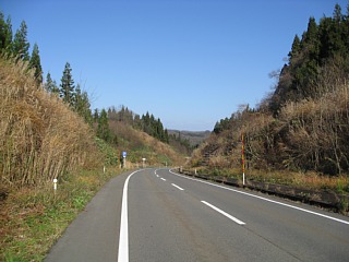 photo20101205-6