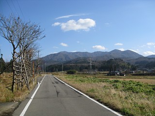 photo20101205-7