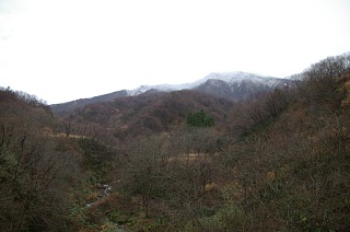 photo20101212-3