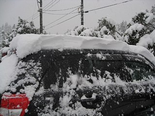 photo20101215-1