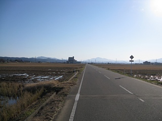 photo20101219-10