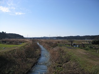 photo20101219-4