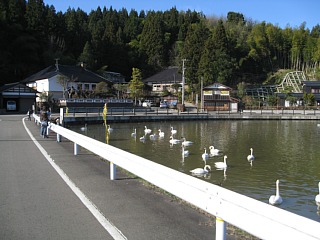photo20101219-5