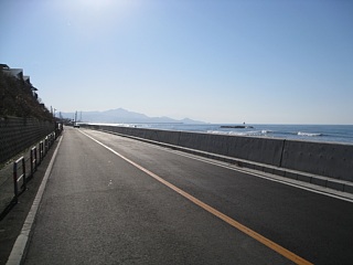 photo20101219-8