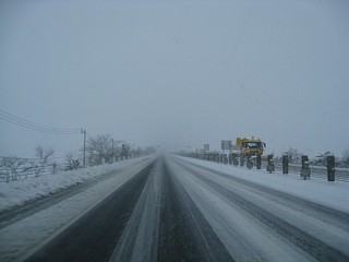photo20101225-2