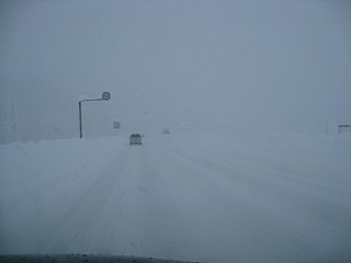 photo20101225-3