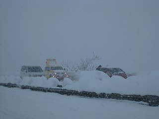 photo20101225-5