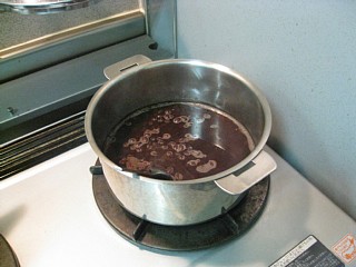 photo20101229-4