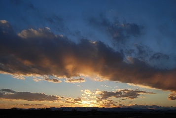 photo20101229-7