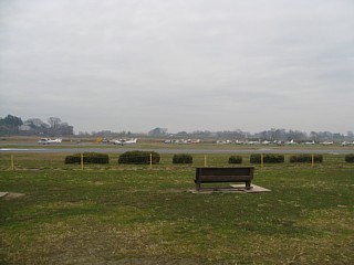 photo20101231-1