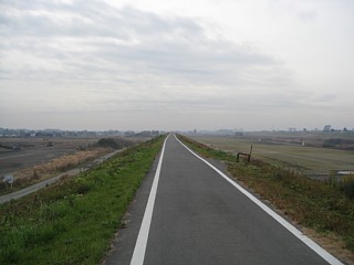 photo20101231-2