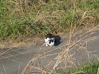 photo20110103-1