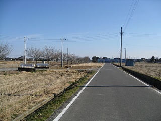 photo20110104-3