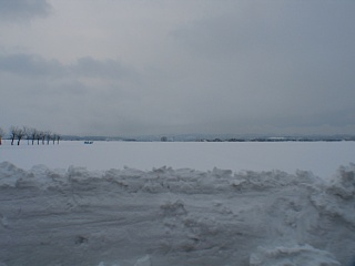 photo20100115-4
