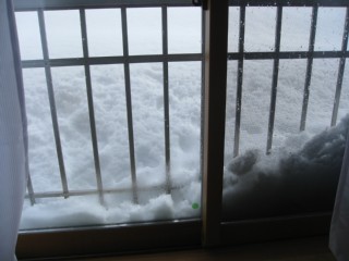 photo20110127-2