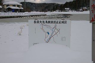 photo20110130-1
