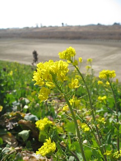 photo20110226-7