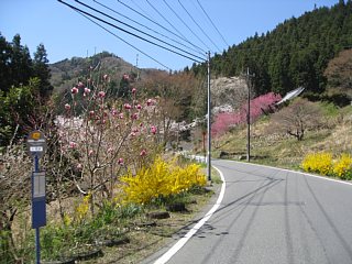photo20110417-1