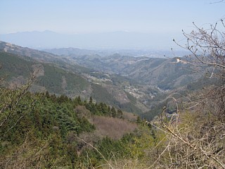 photo20110417-3