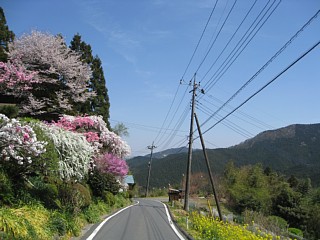 photo20110417-6