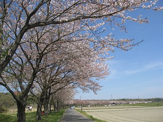 photo20110417-7