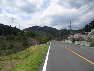 photo20110424-3