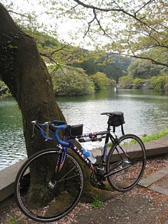 photo20110424-4