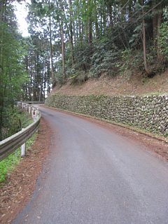 photo20110424-5