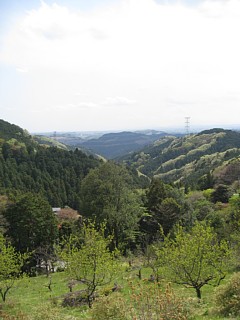 photo20110424-7
