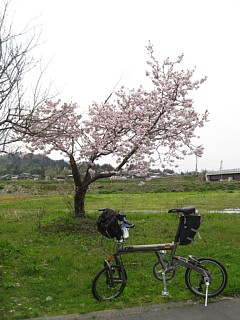 photo-20110502-2